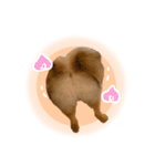 ぽぽんぷ‼︎（個別スタンプ：15）