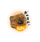 ぽぽんぷ‼︎（個別スタンプ：17）