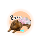 ぽぽんぷ‼︎（個別スタンプ：18）