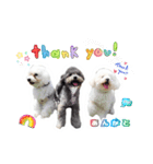 たのしい犬 happy dogs（個別スタンプ：3）