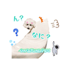 たのしい犬 happy dogs（個別スタンプ：7）