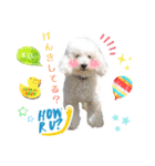 たのしい犬 happy dogs（個別スタンプ：8）