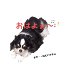 毎日使える、もぉちゃんシリーズ。（個別スタンプ：7）