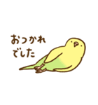 インコ気まぐれ  ゆる敬語（個別スタンプ：15）