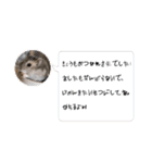 暴れ食いしん坊ハムスターやちる君（個別スタンプ：2）