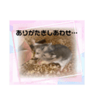 暴れ食いしん坊ハムスターやちる君（個別スタンプ：4）
