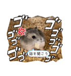 暴れ食いしん坊ハムスターやちる君（個別スタンプ：7）
