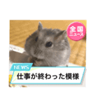 暴れ食いしん坊ハムスターやちる君（個別スタンプ：8）