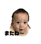 しんしんぐらむ3（個別スタンプ：4）