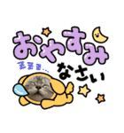 こまりんこ小町（個別スタンプ：3）