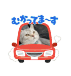 こまりんこ小町（個別スタンプ：6）