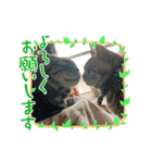 こまりんこ小町（個別スタンプ：7）