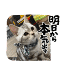 こまりんこ小町（個別スタンプ：8）