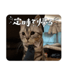 こまりんこ小町（個別スタンプ：10）