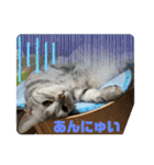 こまりんこ小町（個別スタンプ：12）