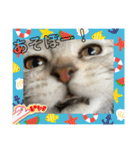 こまりんこ小町（個別スタンプ：13）