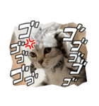 こまりんこ小町（個別スタンプ：14）