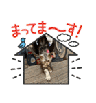 こまりんこ小町（個別スタンプ：16）