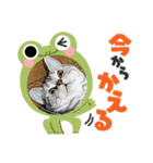 こまりんこ小町（個別スタンプ：27）