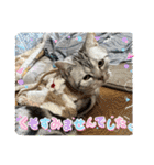 こまりんこ小町（個別スタンプ：28）