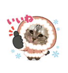 こまりんこ小町（個別スタンプ：29）