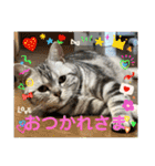こまりんこ小町（個別スタンプ：33）