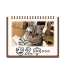 こまりんこ小町（個別スタンプ：35）