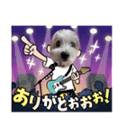 面白い白犬coco（個別スタンプ：6）