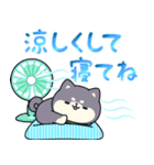 黒豆柴犬の夏スタンプ（個別スタンプ：22）