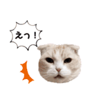 2023/6/29（個別スタンプ：22）