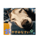 そんながっつりしないで（個別スタンプ：9）