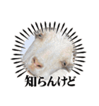 そんながっつりしないで（個別スタンプ：10）