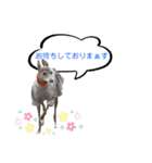 そんながっつりしないで（個別スタンプ：12）