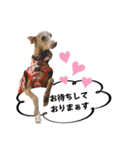 そんながっつりしないで（個別スタンプ：14）