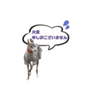 そんながっつりしないで（個別スタンプ：17）