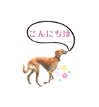 そんながっつりしないで（個別スタンプ：19）