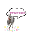 そんながっつりしないで（個別スタンプ：20）