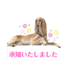 そんながっつりしないで（個別スタンプ：22）