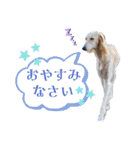 そんながっつりしないで（個別スタンプ：23）