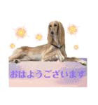 そんながっつりしないで（個別スタンプ：27）