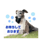 そんながっつりしないで（個別スタンプ：29）