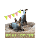 そんながっつりしないで（個別スタンプ：32）