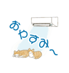 ねこなで(夏))（個別スタンプ：13）