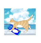 ねこなで(夏))（個別スタンプ：27）