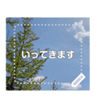 お空に語りかけるスタンプ（個別スタンプ：5）