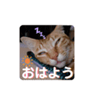 るぅのスタンプ1st（個別スタンプ：1）