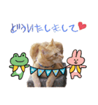 るぅのスタンプ1st（個別スタンプ：6）