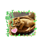 るぅのスタンプ1st（個別スタンプ：9）