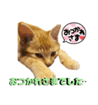 るぅのスタンプ1st（個別スタンプ：10）