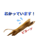 るぅのスタンプ1st（個別スタンプ：13）